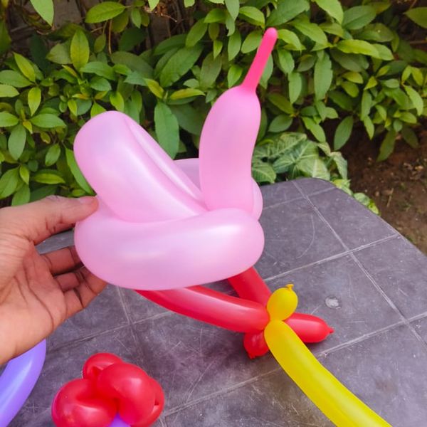 Balloons modelling